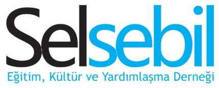 Selsebil